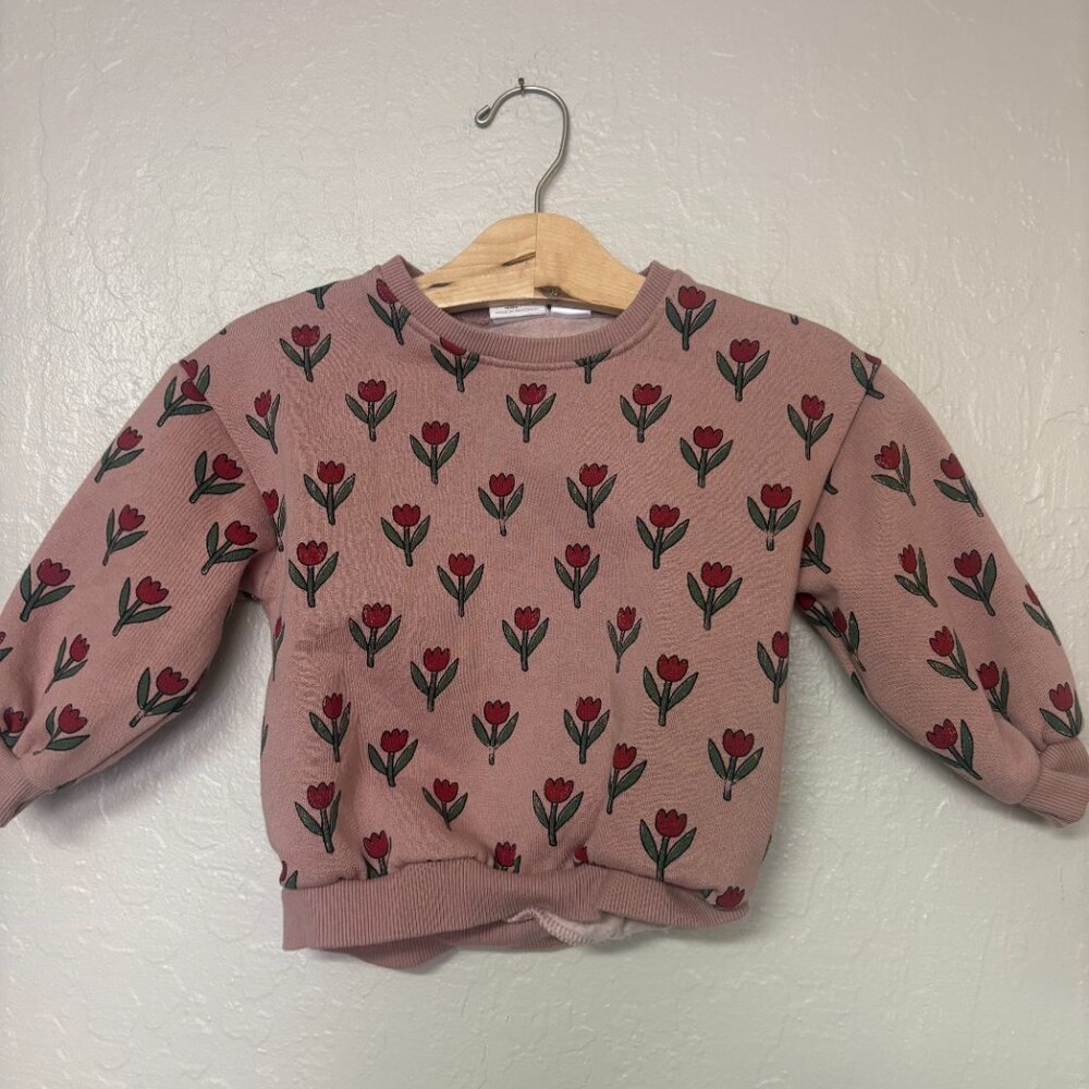 $20 ADD ON Zara floral sweatshirt Janie and Jack Baby Gap Hanna Andersson - Picture 1 of 3